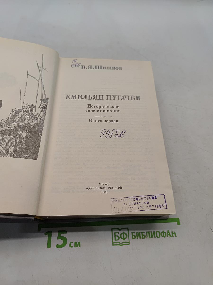 Емельян Пугачев. Историческое повествование. Книга первая