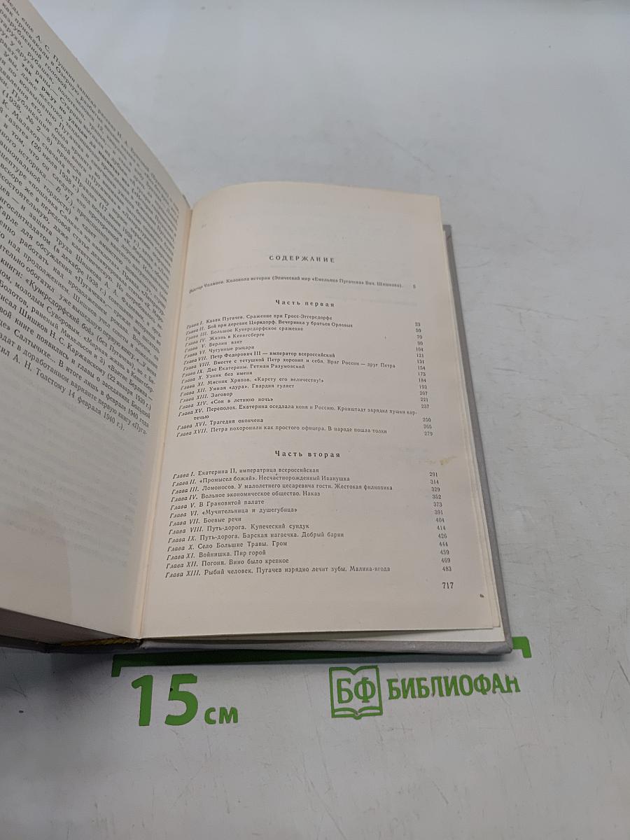Емельян Пугачев. Историческое повествование. Книга первая