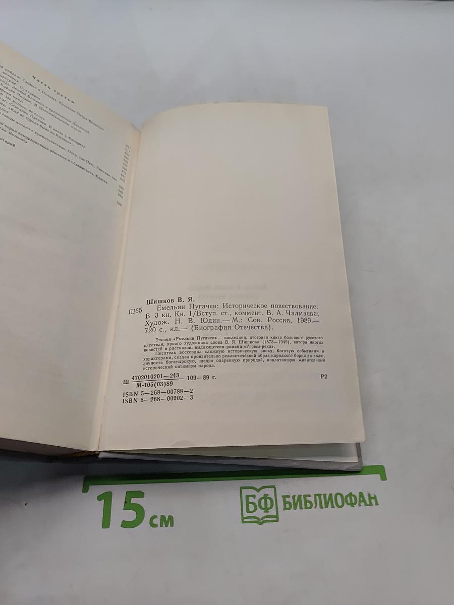 Емельян Пугачев. Историческое повествование. Книга первая