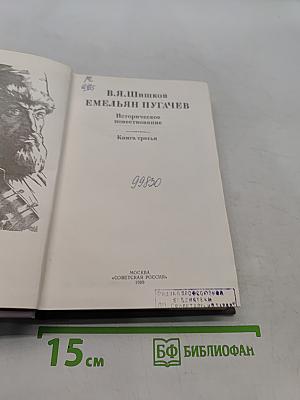 Емельян Пугачев. Историческое повествование. Книга третья