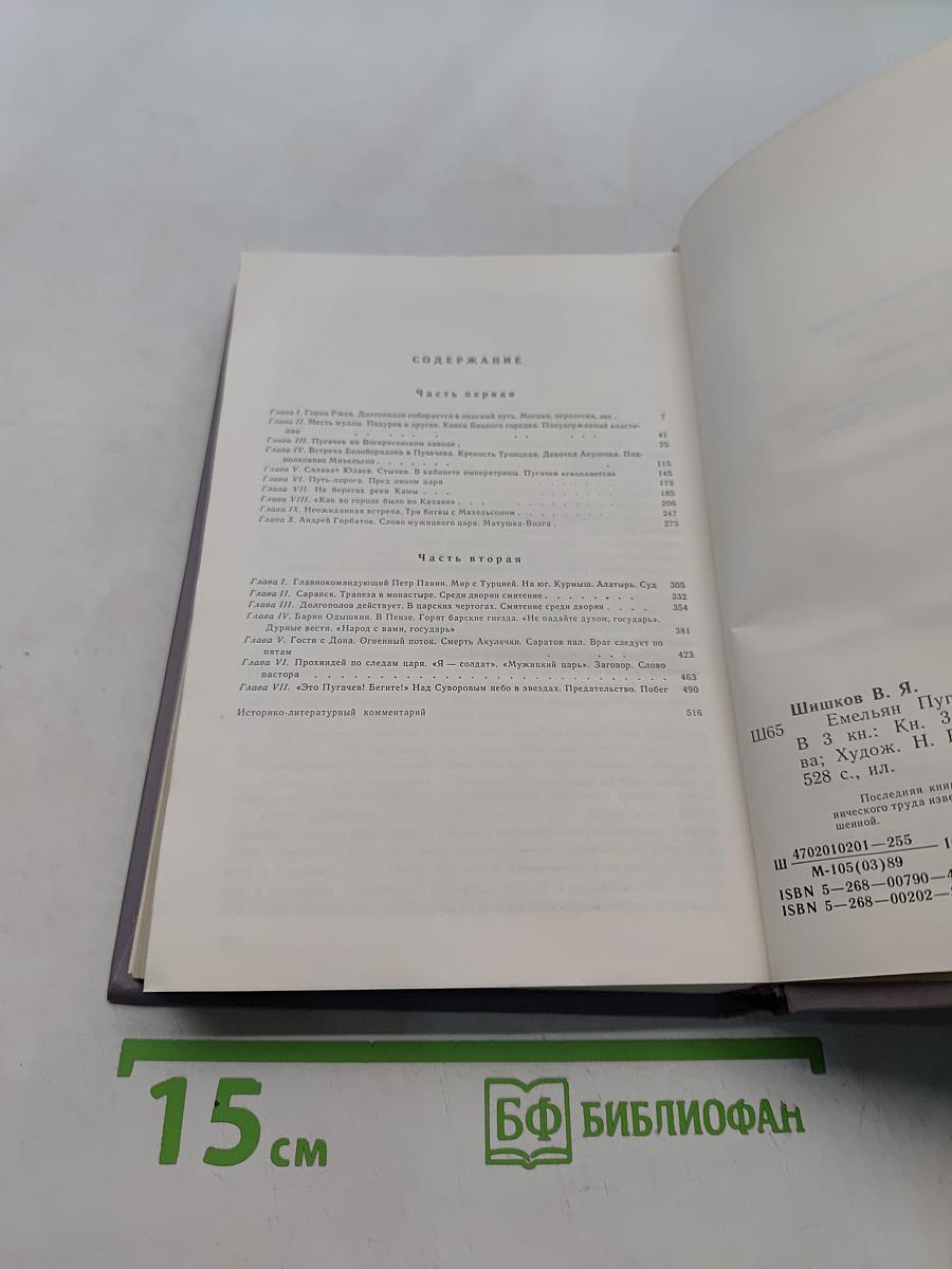 Емельян Пугачев. Историческое повествование. Книга третья