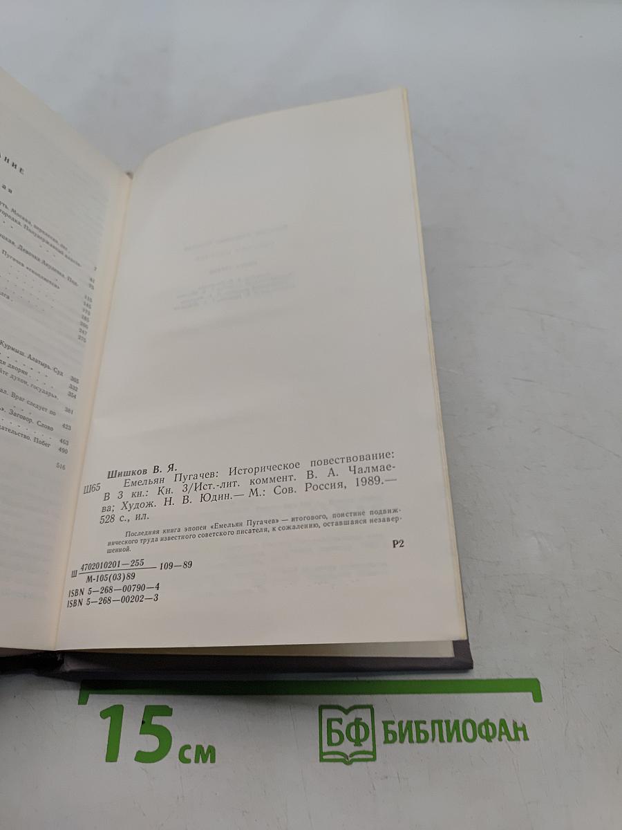 Емельян Пугачев. Историческое повествование. Книга третья