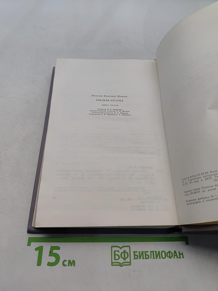 Емельян Пугачев. Историческое повествование. Книга третья