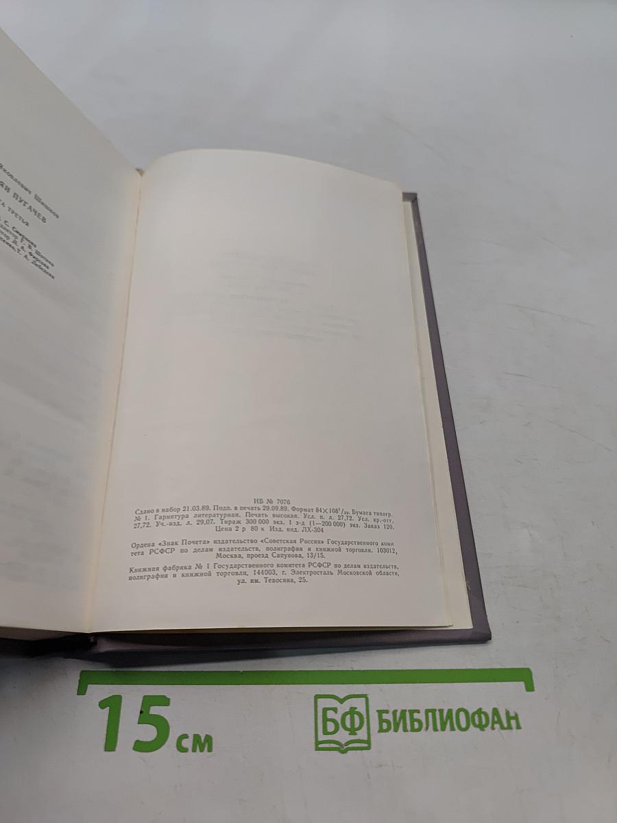 Емельян Пугачев. Историческое повествование. Книга третья