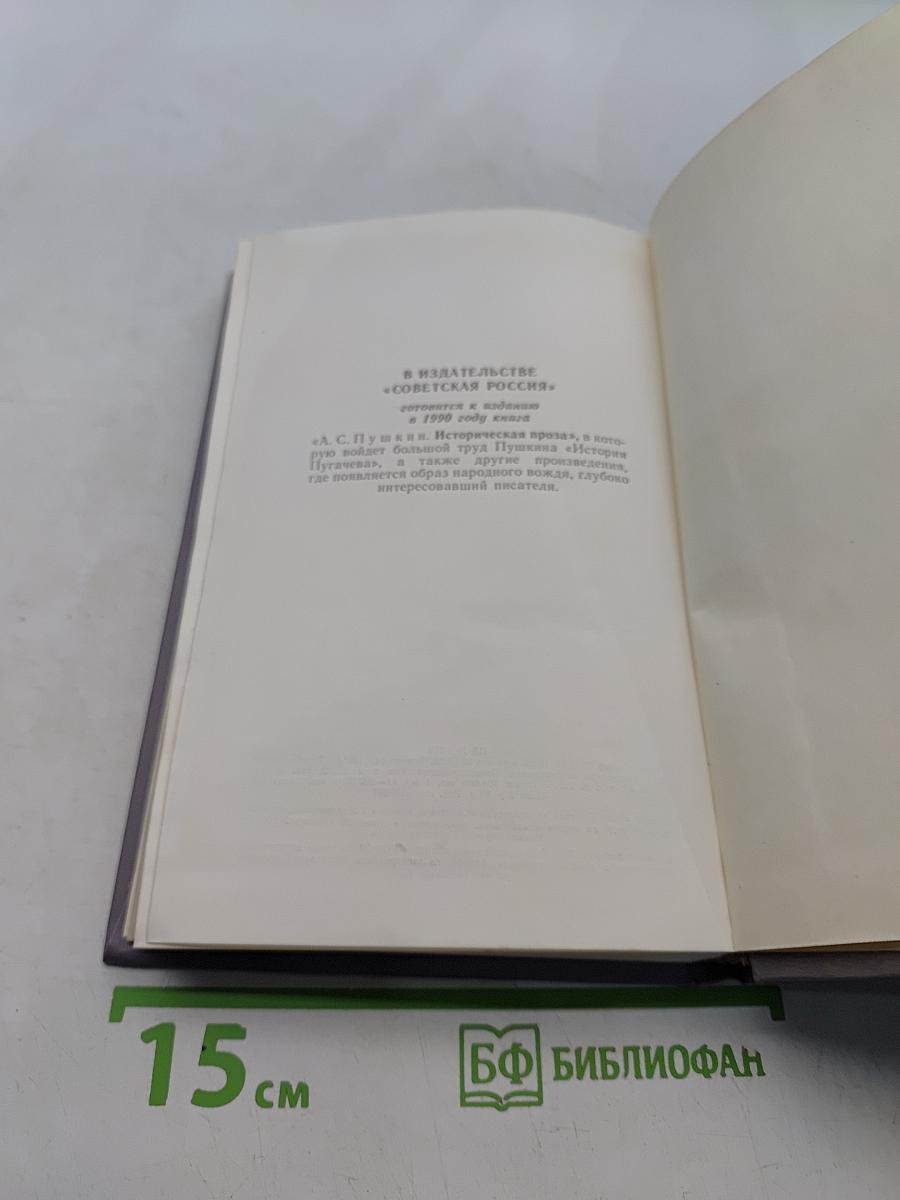 Емельян Пугачев. Историческое повествование. Книга третья