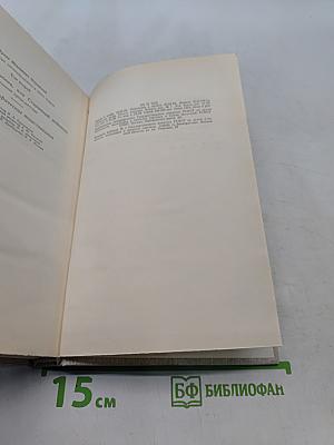 Избранные произведения в двух томах. Том второй. Похождения Шипова, или Старинный водевиль. Автобиографические повести
