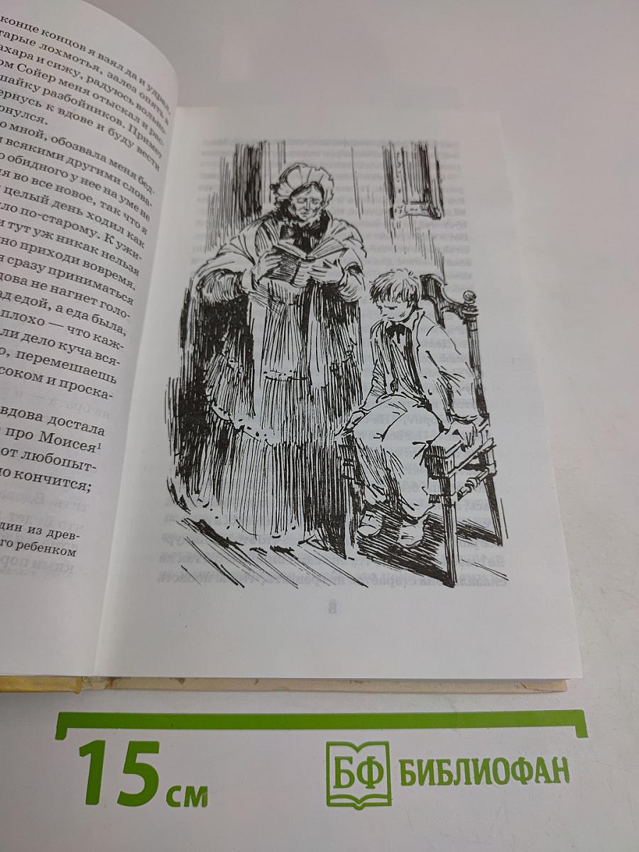 Приключения Гекльберри Финна