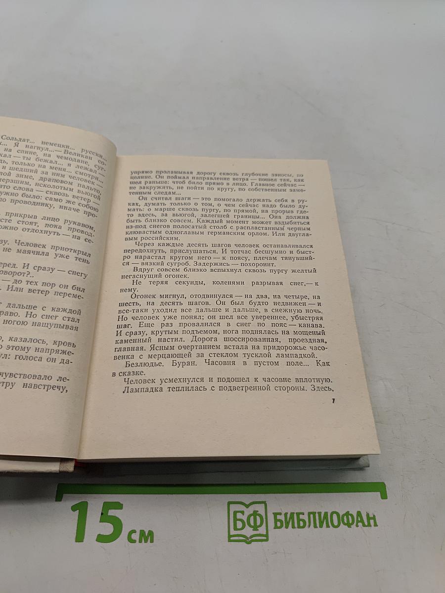 Грач — птица весенняя