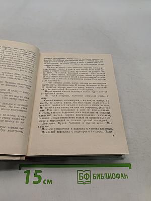 Грач — птица весенняя