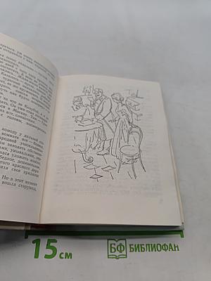 Грач — птица весенняя