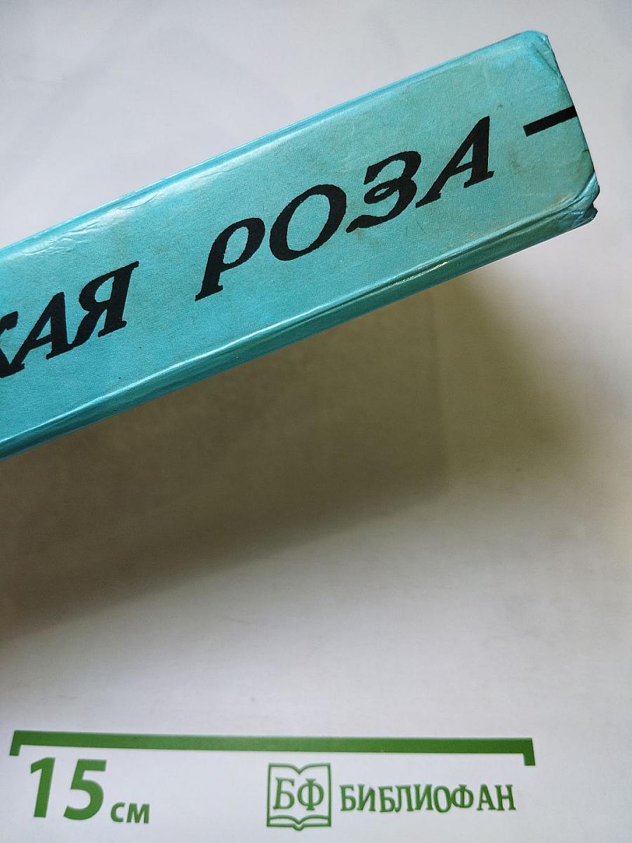 Дикая Роза. Роман по одноименному телесериалу