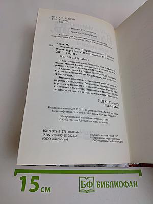 Владимир, или Прерванный полет
