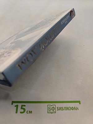 Ледяной дом