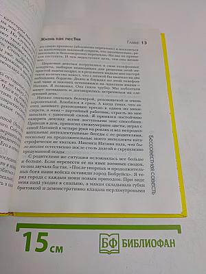 Жизнь как песня, или Всё через жё