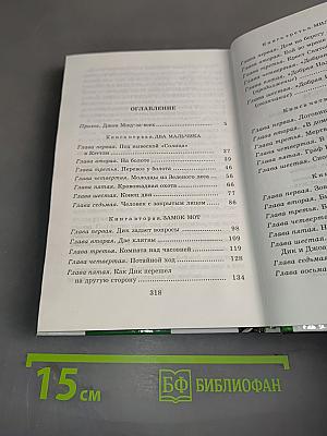 Черная стрела