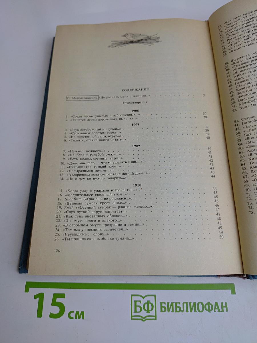 Стихотворения. Переводы. Очерки. Статьи