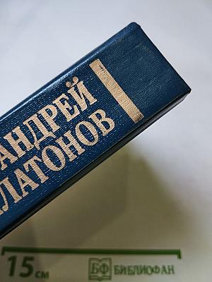 Андрей Платонов. Государственный житель