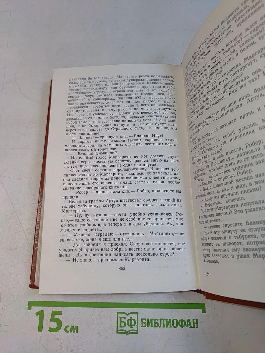 Железный король. Узница Шато-Тайара