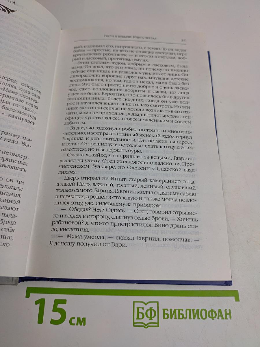 Были и небыли. Книга 1. Господа волонтеры