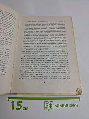 Хрупкая веточка