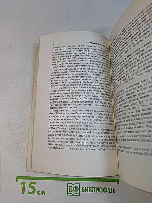 Двадцать писем к другу