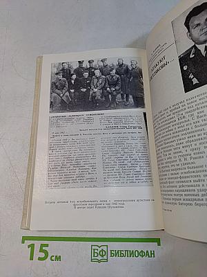 В небе – летчики Балтики