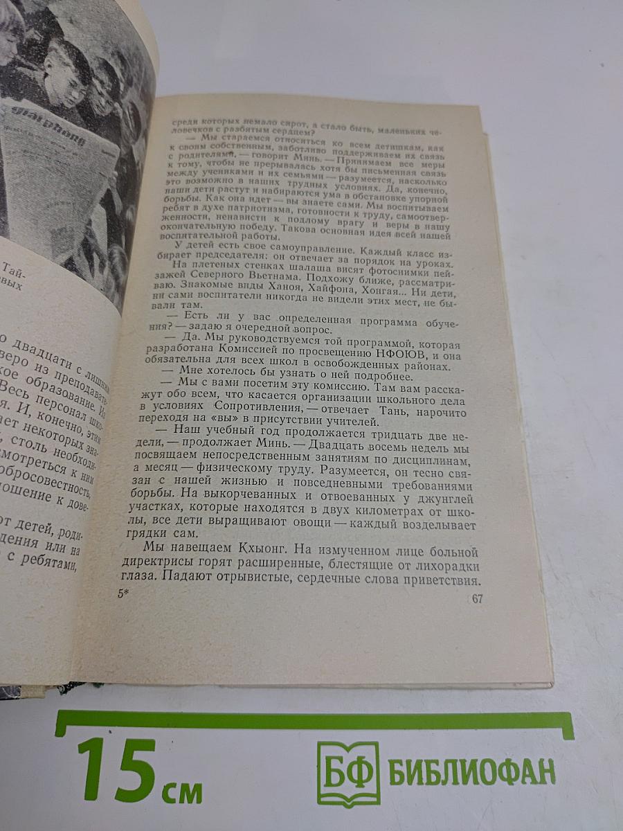 Война в джунглях