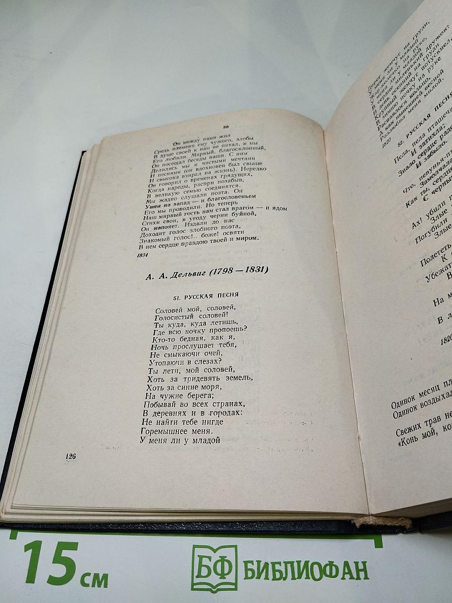 Мысль, вооруженная рифмами. Поэтическая антология по истории русского стиха