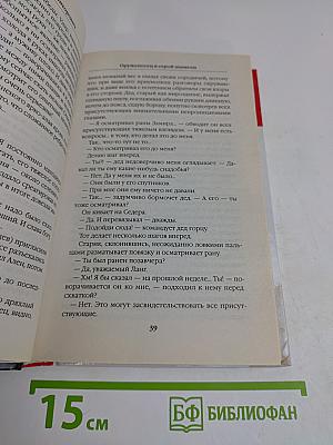 Оруженосец в серой шинели