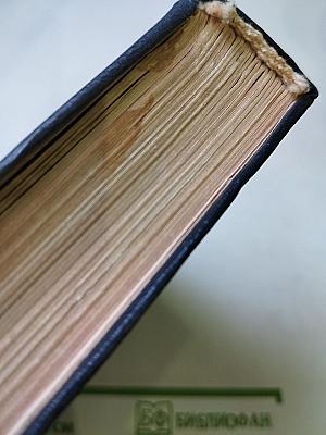 Мысль, вооруженная рифмами. Поэтическая антология по истории русского стиха