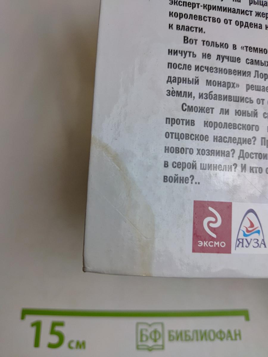 Оруженосец в серой шинели