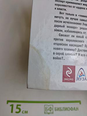 Оруженосец в серой шинели