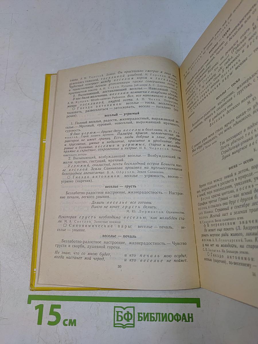 Школьный словарь антонимов русского языка