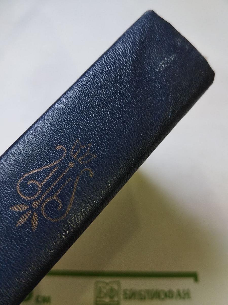 Мысль, вооруженная рифмами. Поэтическая антология по истории русского стиха