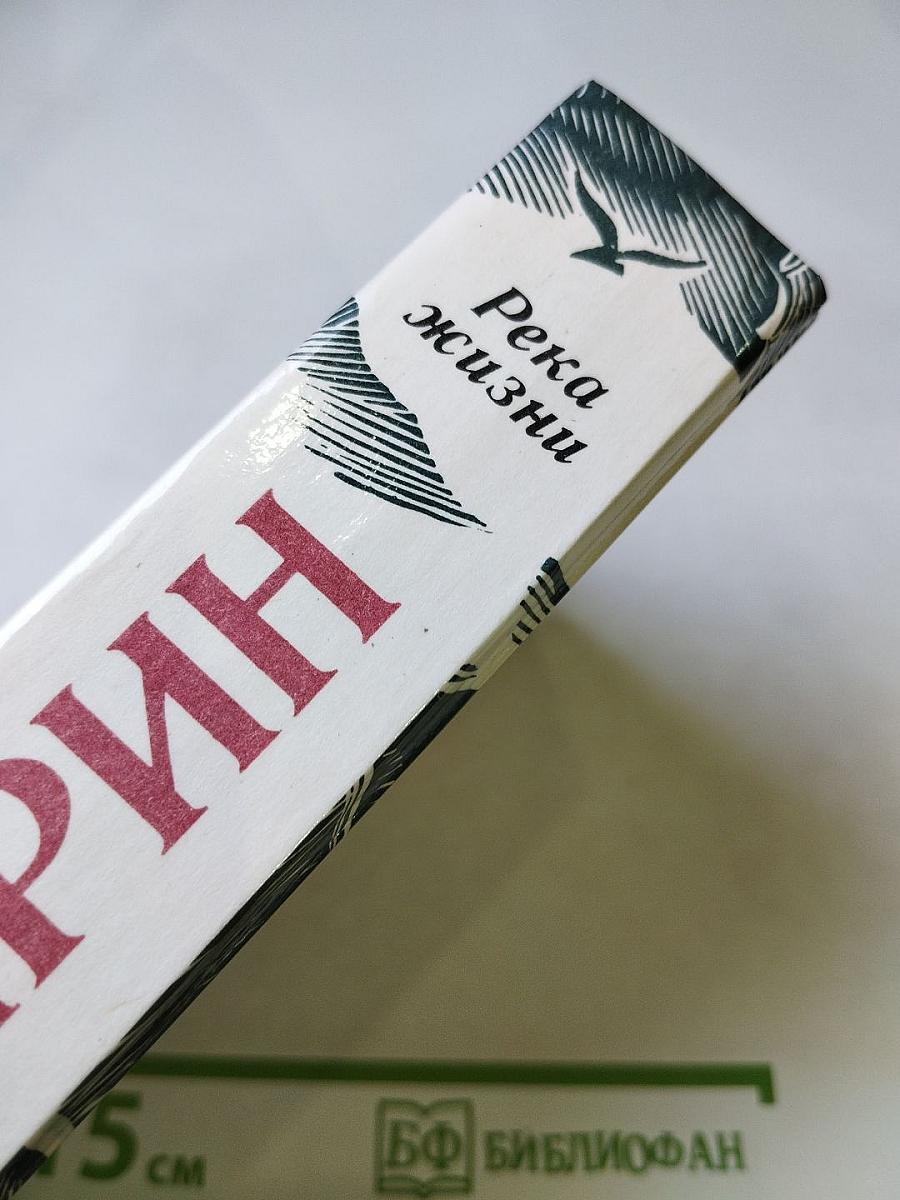 Река жизни. Повести и рассказы