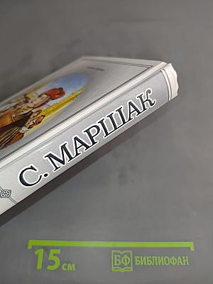 Собрание сочинений в четырех томах. Том четвертый. Из английской и шотландской народной поэзии. Эпиграммы. Из зарубежных поэтов. Лирика. Воспоминания