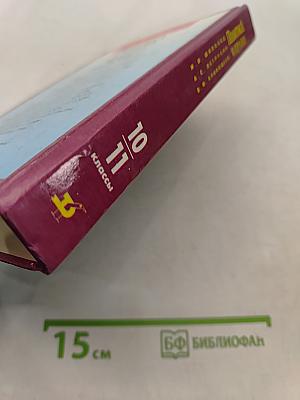 Политика и право. 10-11 классы