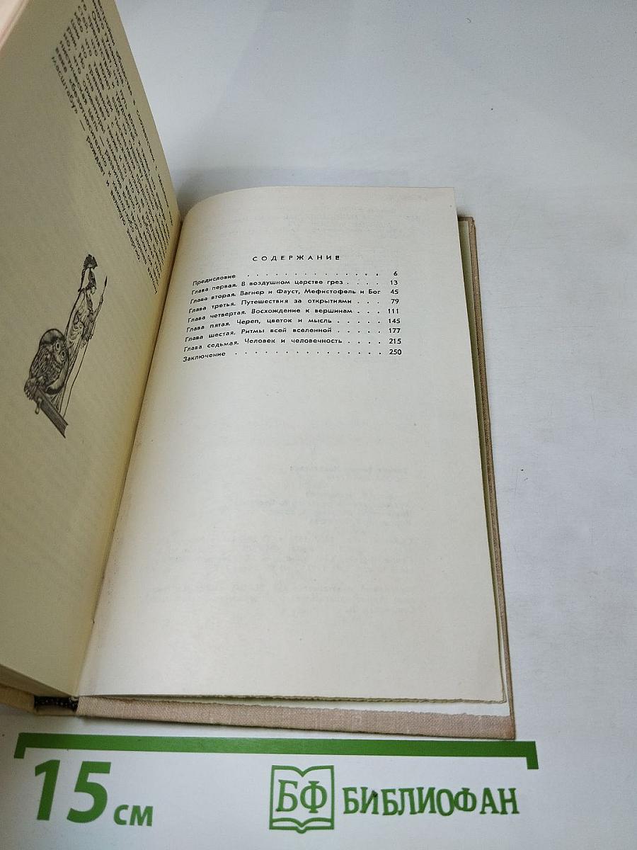 Сова Минервы