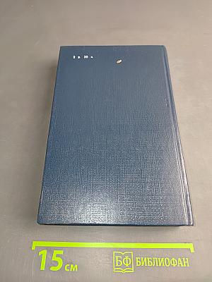 Позиция. Книга четвертая. Экспансия-III