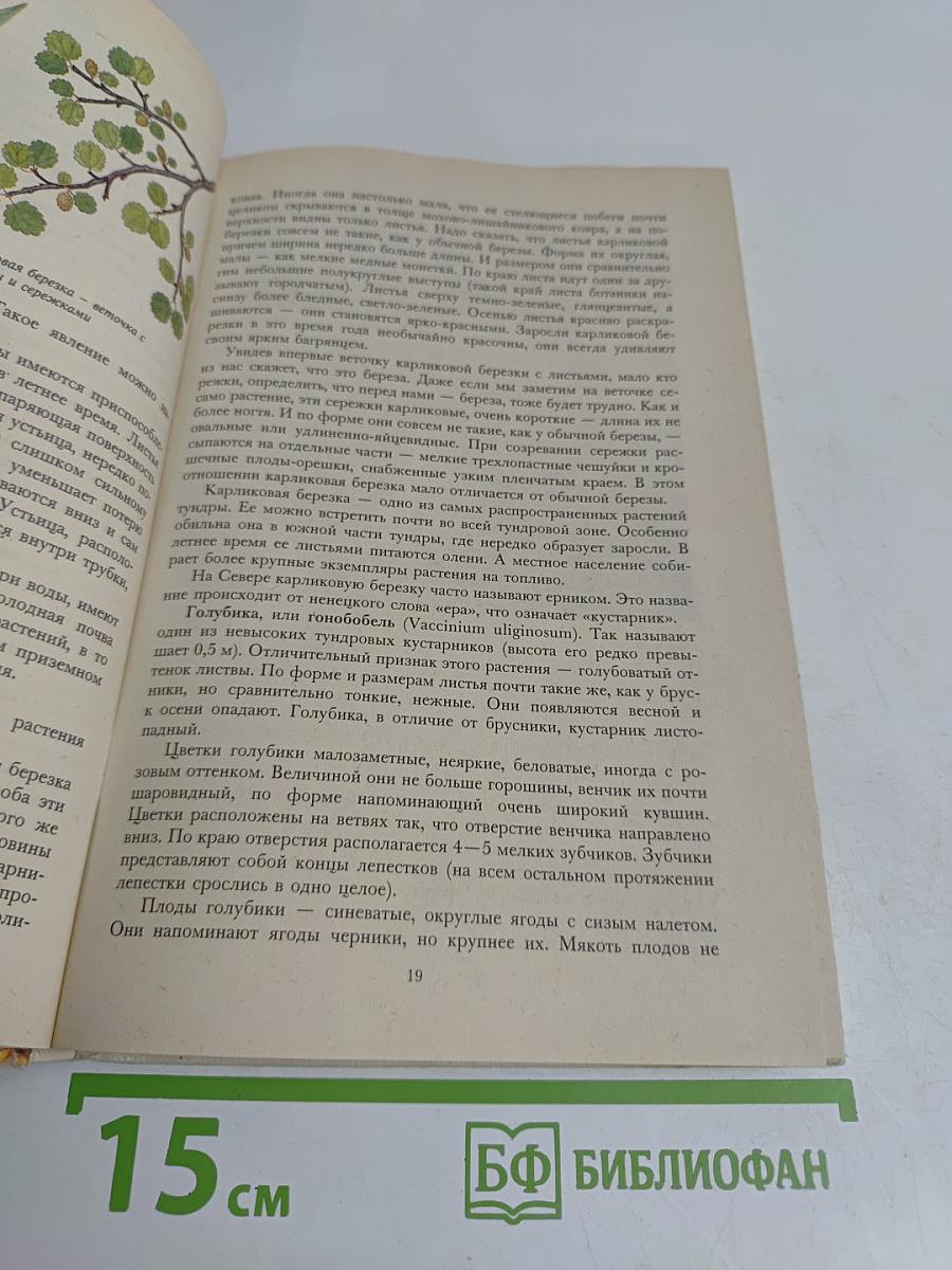 Растительный мир нашей Родины