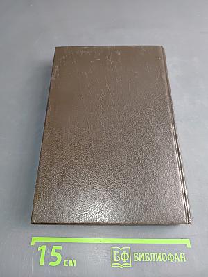 Вигьяна Бхайрава Тантра. Книга тайн. Том 2. Новый комментарий