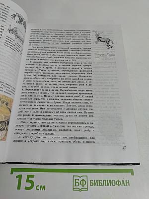 История древнего мира. Учебник для 5 класса общеобразовательных учреждений. 4-е издание, доработанное