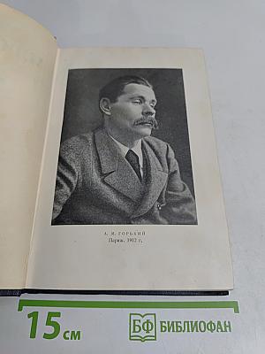 Рассказы. Том 11. 1912-1917