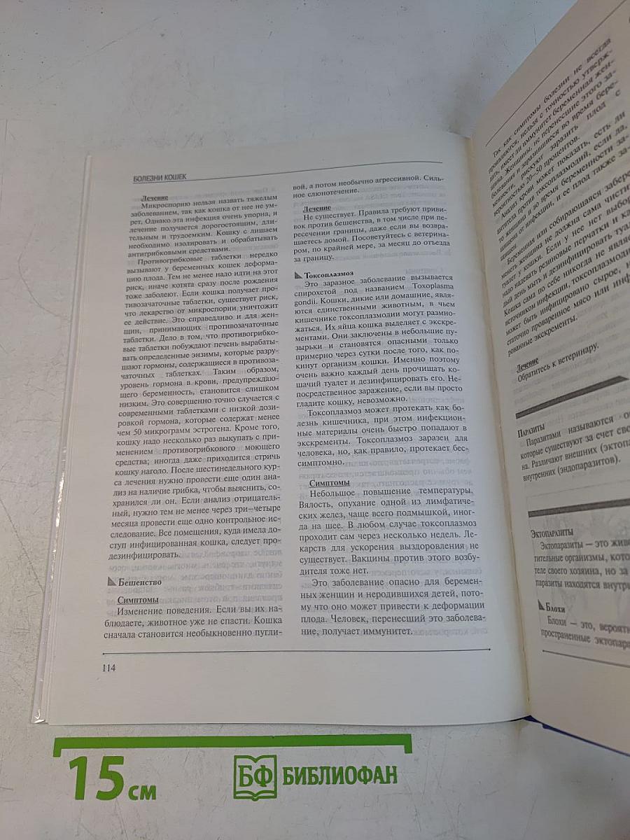 Кошки. 120 пород и окрасов