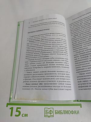 Женский организм: что нужно знать?