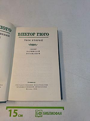 Собор Парижской Богоматери. Том второй