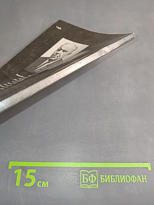 Убийство Кирова. Политические и уголовные преступления в 1930-х годах