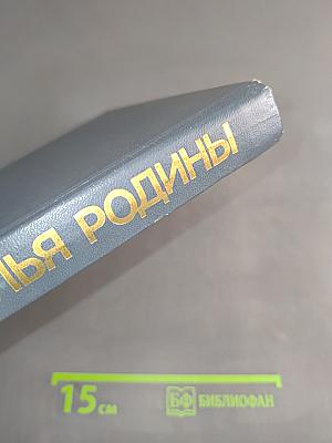Крылья Родины