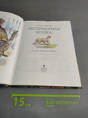 Беспризорная кошка