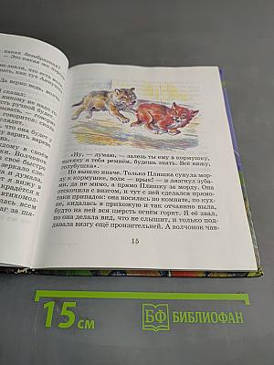 Беспризорная кошка